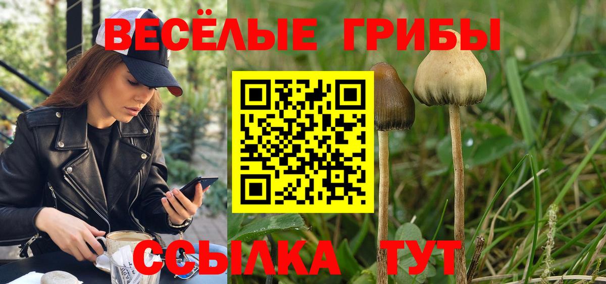 Галлюциногенные грибы GOLDEN TEACHER Дзержинский