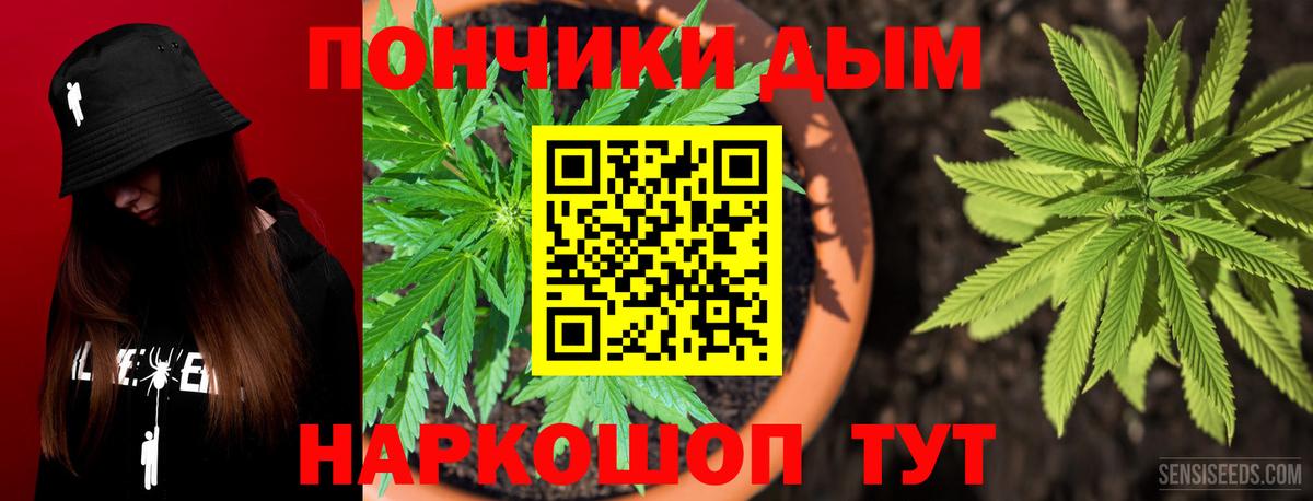 Шишки марихуана семена Дзержинский